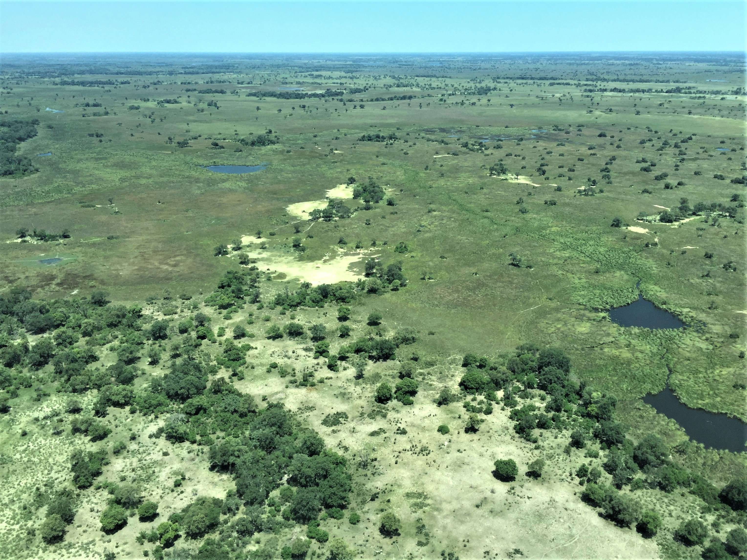 Chobe National Park