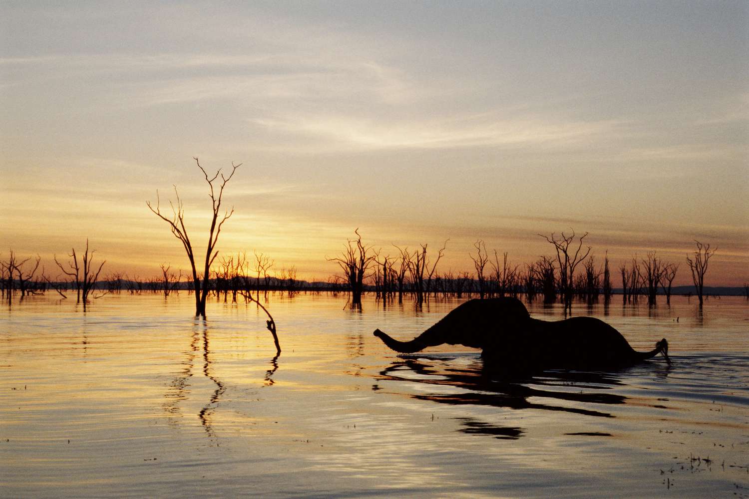 Lake Kariba - Zambia