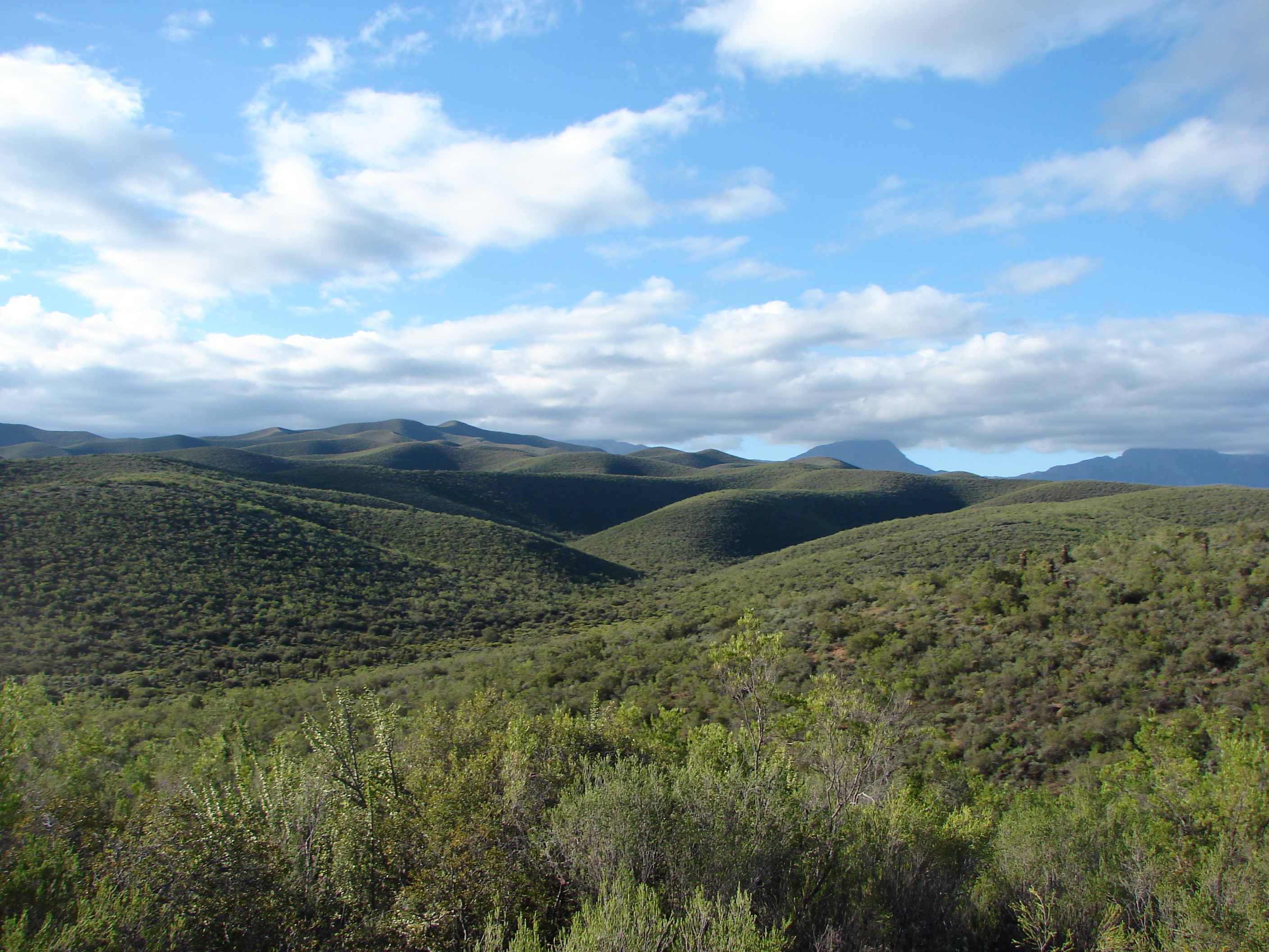 Garden Route