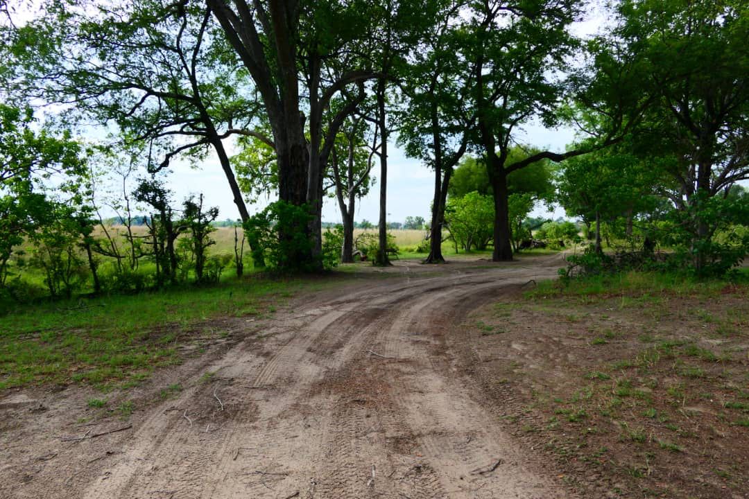 Moremi Game Reserve