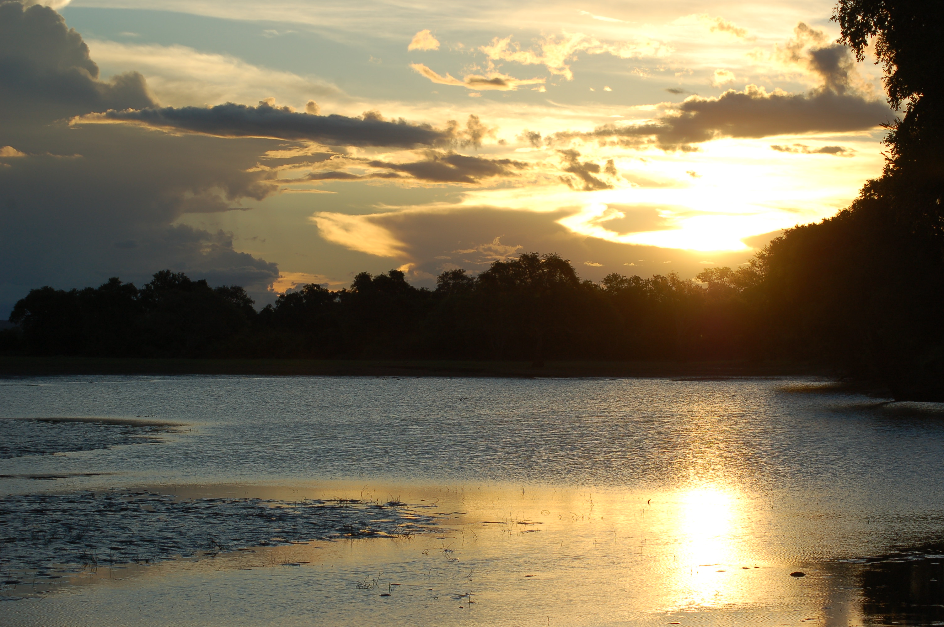 South Luangwa National Park