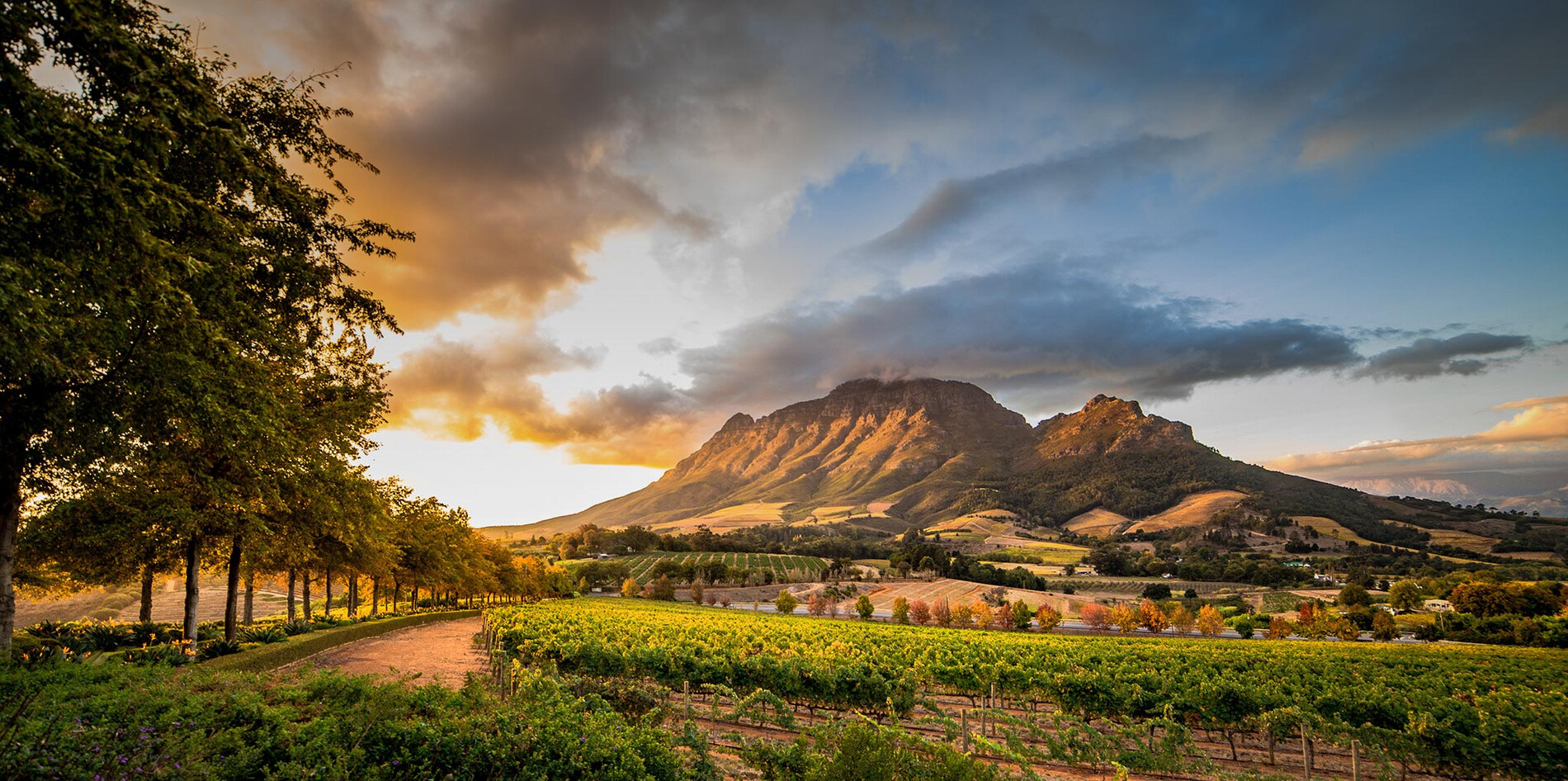 Cape Town & Winelands Escape