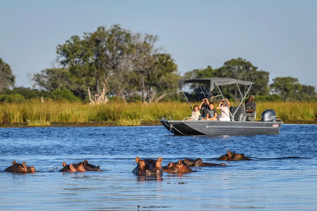 Chobe & Okavango Explorer