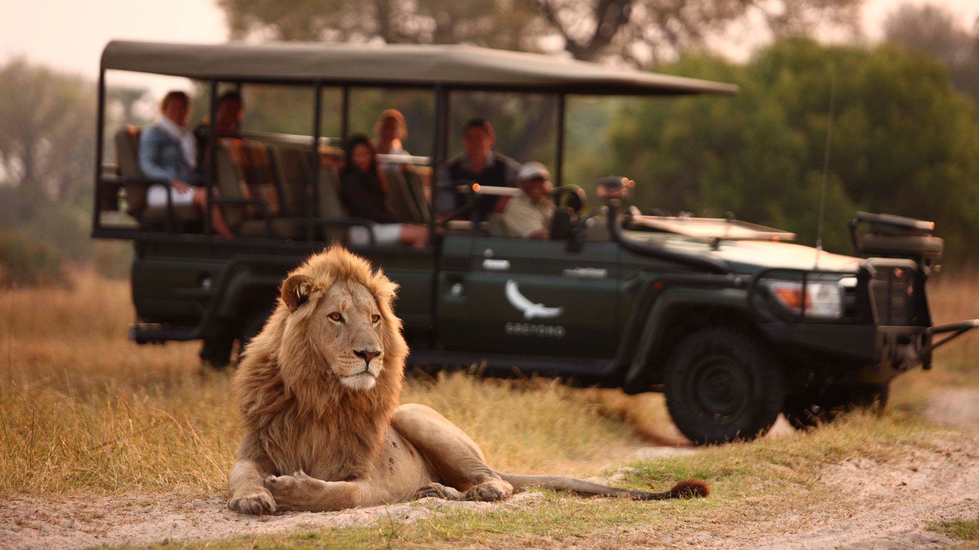 Chobe River Safari