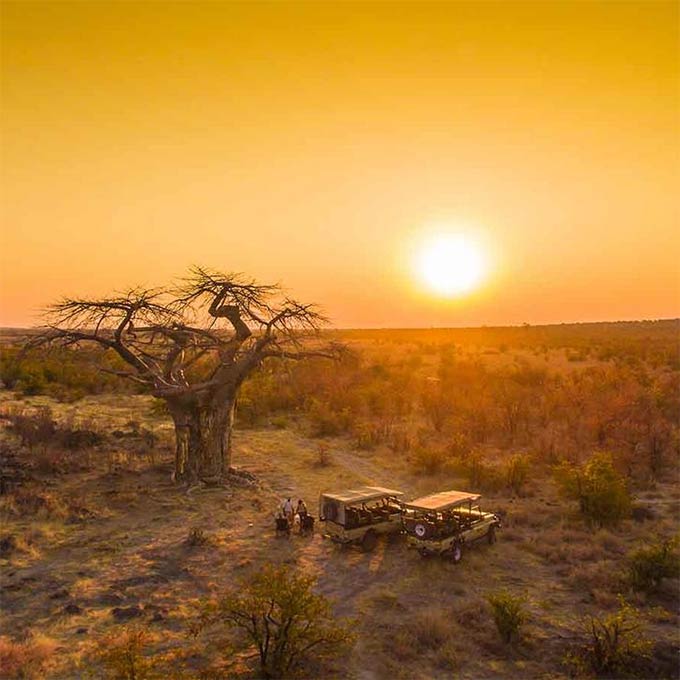 Chobe Wildlife Escape