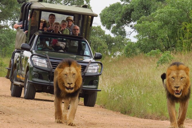 Kruger Safari Experience