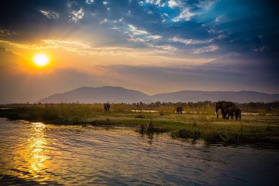 Lower Zambezi Wilderness