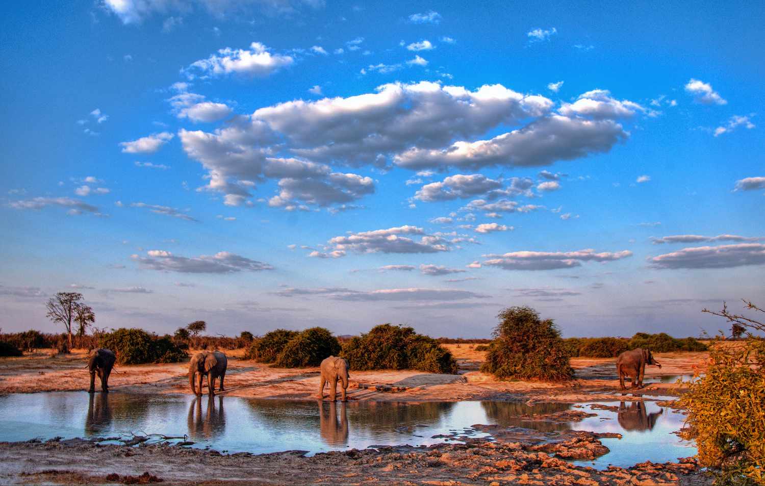 Ultimate Southern Africa Journey