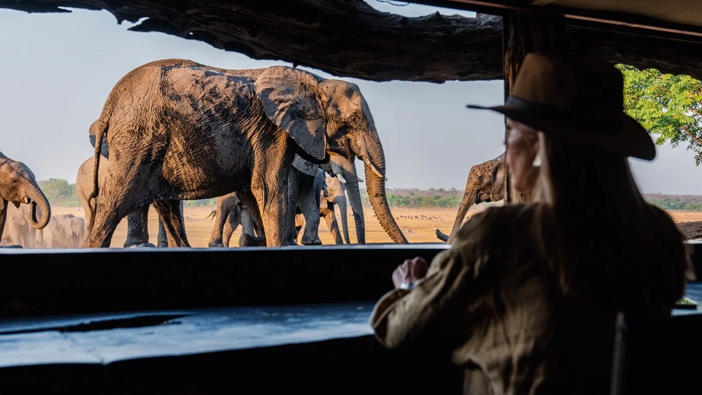 Zimbabwe Heritage & Wildlife